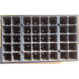 plaque forestiere 40 alvéoles - 220 cc plaque forestiere 40 alvéoles - 220 cc