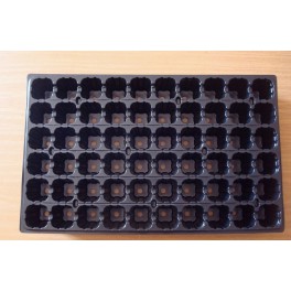 Lot de 100 plaques de 60 alvéoles Lot de 100 plaques de 60 alvéoles