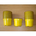 lot de 25 pots de 9 cm de couleur jaune