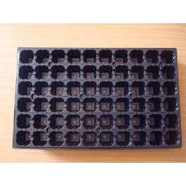 Lot de 50 plaques de 60 alvéoles Lot de 50 plaques de 60 alvéoles