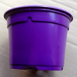 25 pots de 10,5 cm couleur violet