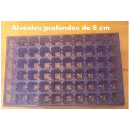 5 plaques Bleu 60 alvéoles 6cm de profondeur