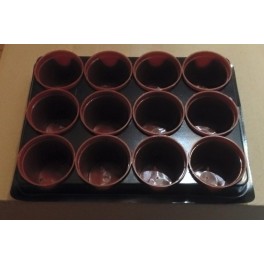 Plaque 12 pots Ø5,8cm - Ideal Cactees Plaque 12 pots Ø5,8cm - Ideal Cactees