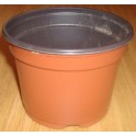 50 Pots de 10.5 cm - 0,48 L