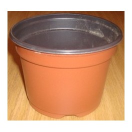 50 Pots de 10.5 cm - 0,48 L