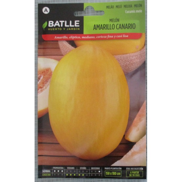 Lot de 50 graines de melon jaune canari 2 - hâtif de type espagnol