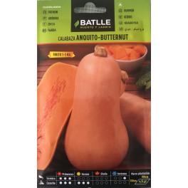 Graines - Butternut Graines - Butternut