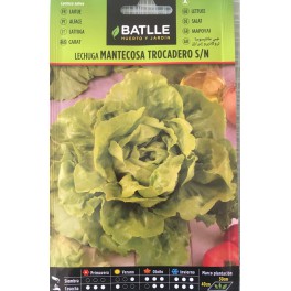 Graines - Salade - Laitue Mantecosa Graines - Salade - Laitue Mantecosa
